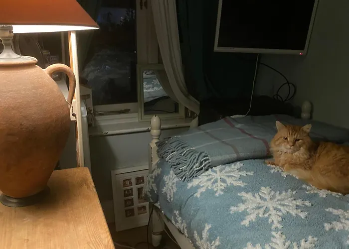 Comfy Cosy , Tv, Mic, Fridge